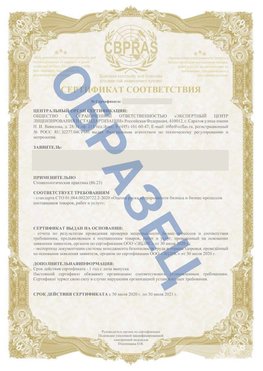 Образец Сертификат СТО 01.064.00220722.2-2020 Энгельс Сертификат СТО 01.064.00220722.2-2020 